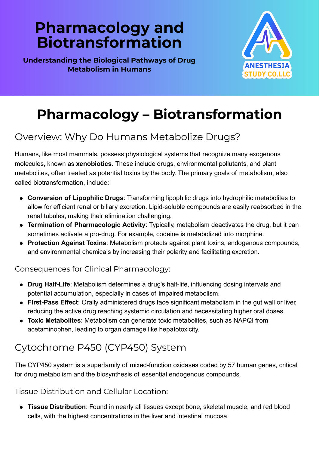 Pharmacology and Biotransformation